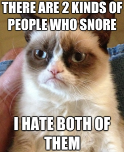 2 kinds of people who snore meme